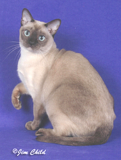 03_Wenlock Courante